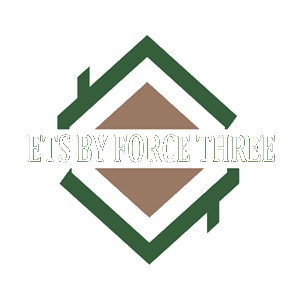  ETS BY FORCE THREE